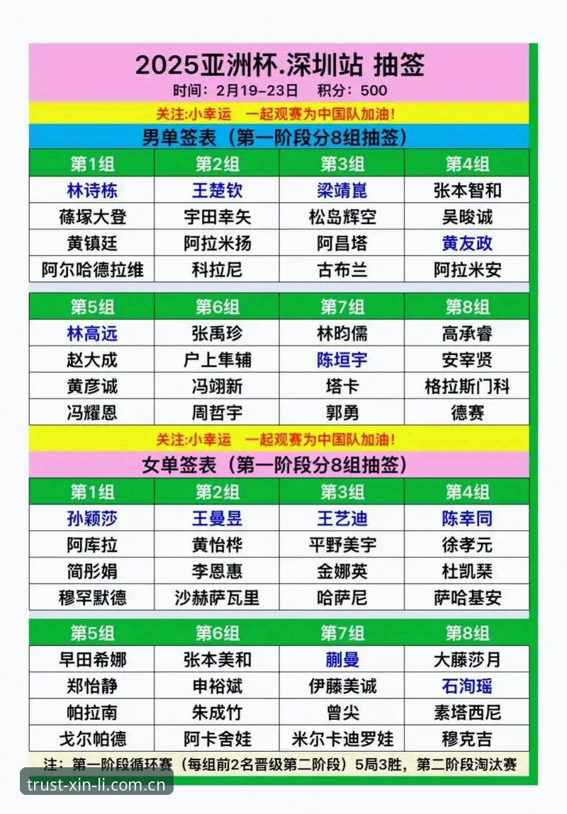 2025年U17世界杯抽签结果解读教程：在新利体育官网掌握赛事动态