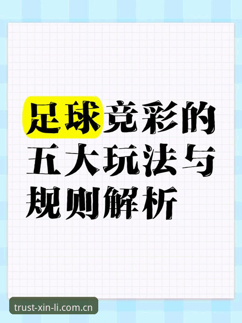新利体育官网的5个实用技巧，让投注体验更顺畅